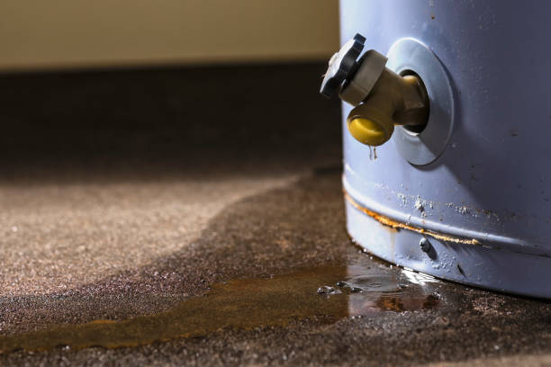 Best Water damage restoration near me  in Wake Forest, NC