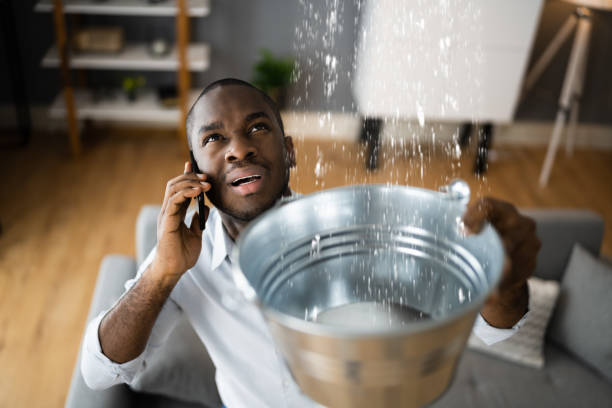 Best Carpet water damage restoration  in Wake Forest, NC