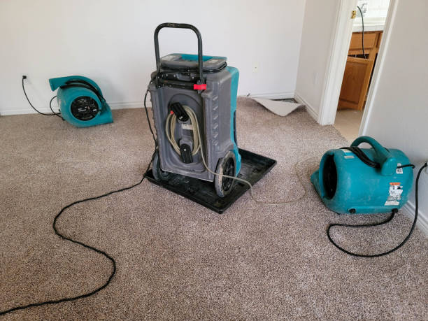 Best Flood damage cleanup  in Wake Forest, NC