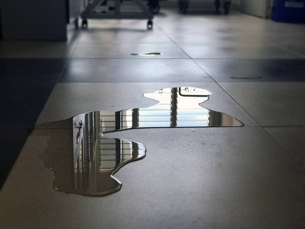 Best Water damage restoration process  in Wake Forest, NC