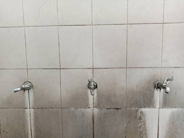 Best Flood damage cleanup  in Wake Forest, NC