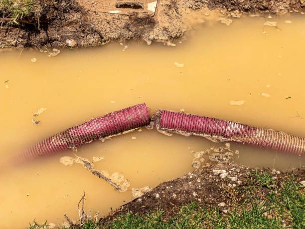 Water damage restoration mold remediation in Wake Forest, NC