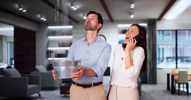 Best 24/7 water damage repair  in Wake Forest, NC