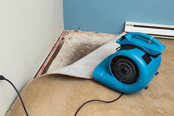 Best Commercial water damage restoration  in Wake Forest, NC